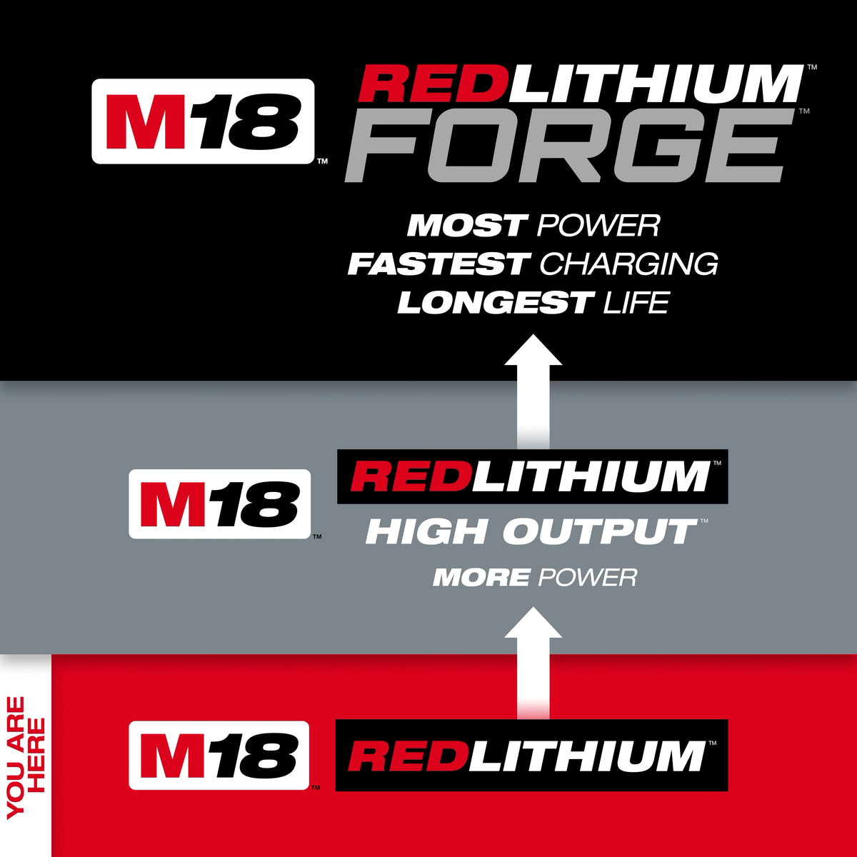 M18™ REDLITHIUM™ XC5.0 Extended Capacity Battery Two Pack