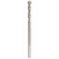 BIG HAWG™ with Carbide Teeth Pilot Bit